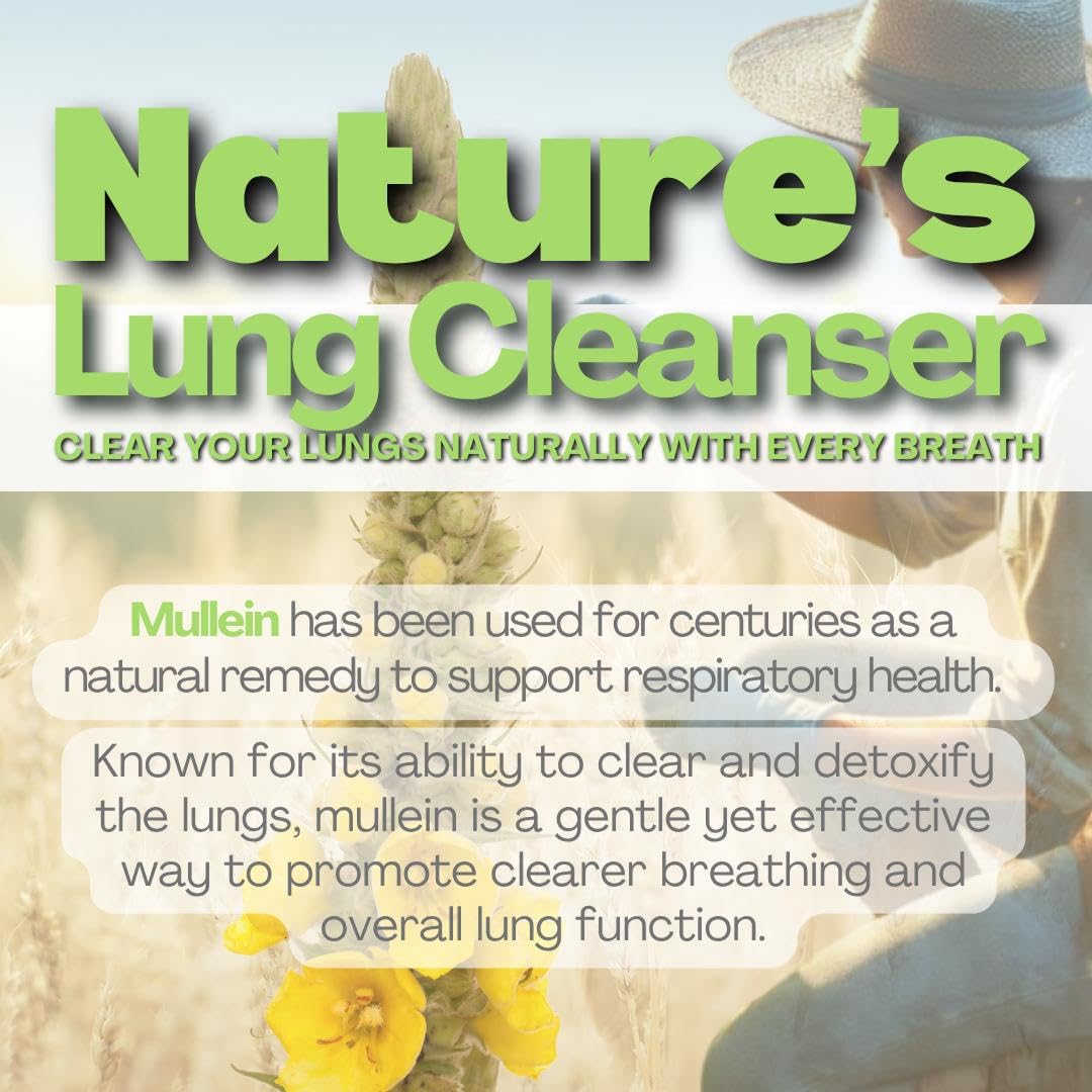 how to detox your lungs from cigarette smoke The Difference Between Healthy and Smoker's Lungs New Mullein Puff Bar Lung
