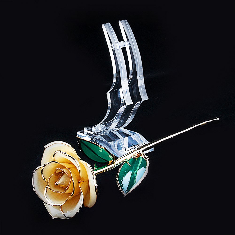 Rosa Dorata 24 Carati ZJchao - Vera Rosa Conservabile, 29 Cm | Regalo Per San Valentino, Anniversari