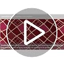 Image of DECORUM Glace Cotton Fitted 1 Bedsheet King Size (72 inchx78 inch) | All Around Elastic | Cotton Feel | 2 Pillow Covers (17 inchx27 inch) | Fits Up to 8 inch Mattress | 200-220 TC | Printed Double Bed Sheet Set
