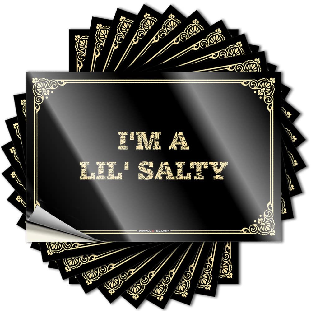 Fzfn Girls Colour Funny Sticker Man Cave Accessories Durable Vinyl - I'm A Lil' Salty Garage For Use(12X18cm)