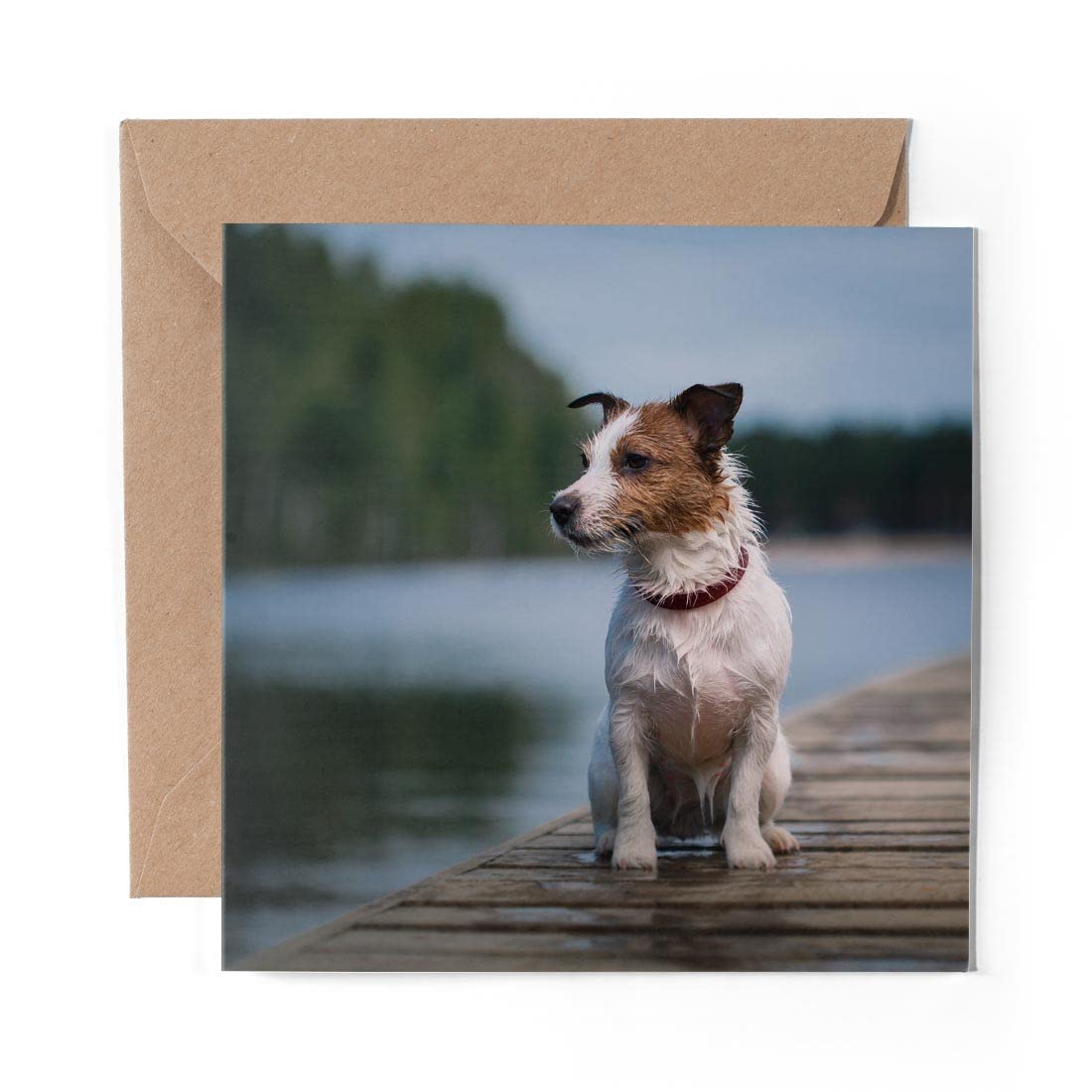 Cartes De Vœux Jack Russell En Forme De Chien