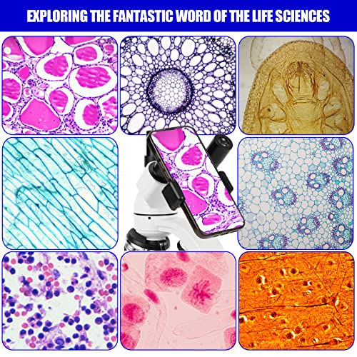 Microscopes For Adults, Dual Led Illumination & Two-Layer Mechanical Stage, Biological Microscope For Adults & Students, Includes Phone Holder & Prepared Microscope Slides #TOP5