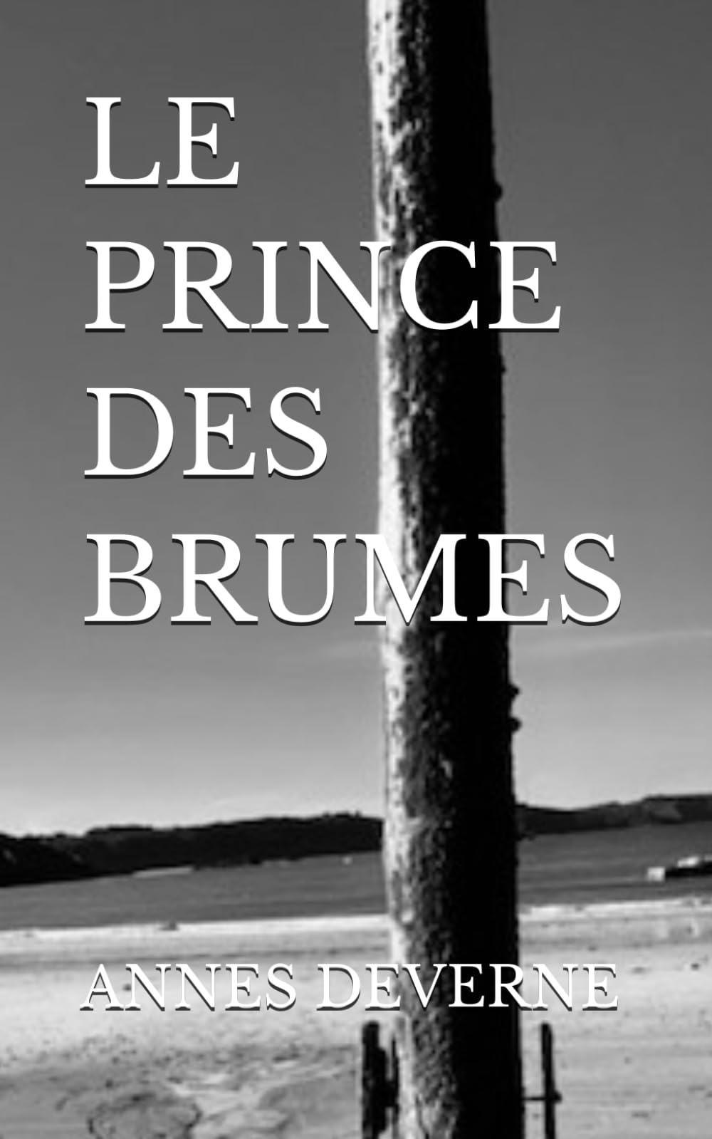 LE PRINCE DES BRUMES