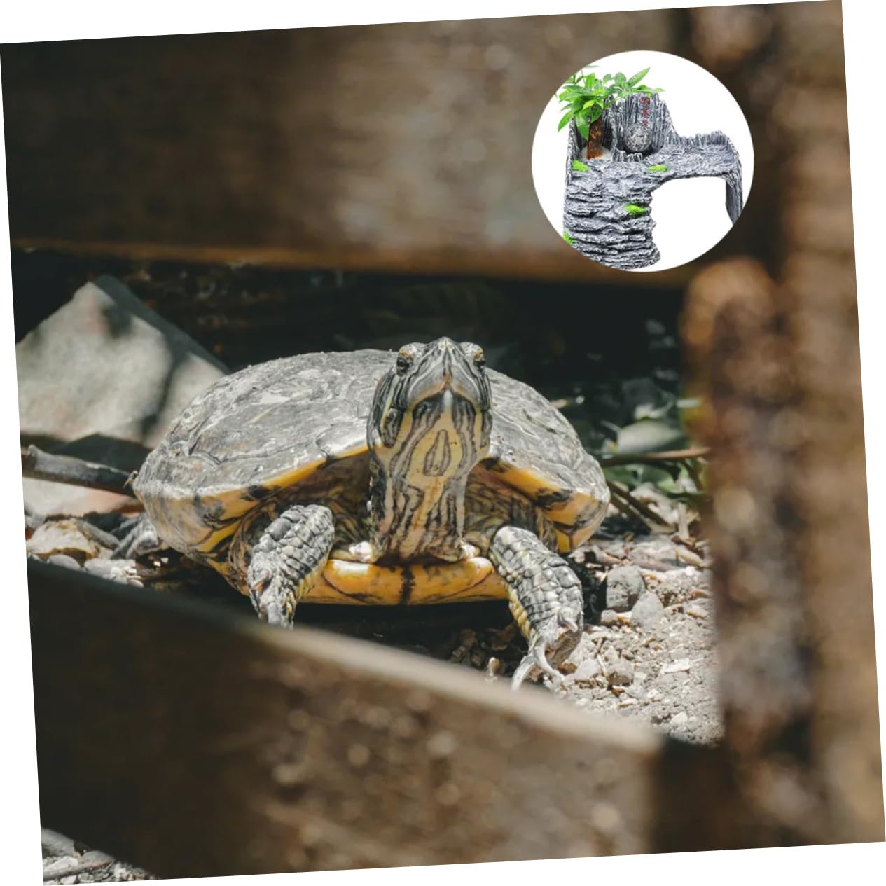 Terraza Solárium De Tortugas Plataforma Multifuncional para Acuario Adorno para Tortugas Oscuro para Hábitats Creativos De Acuarios Facilita El Acceso De Agua Su