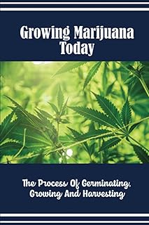 Growing Marijuana Today: The Process Of Germinating, Growing And Harvesting