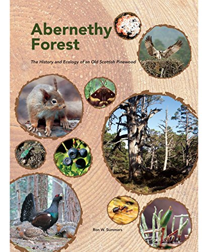 Abernethy Forest: The History and Ecology of an Old Scottish Pinewood