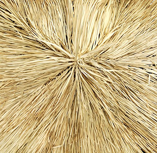 Forever Bamboo Natural Mexican Palm Thatch Umbrella Cover Palapa Thatch Roofing Tiki Hut Umbrella Skirt 12' D - Thumbnail 5