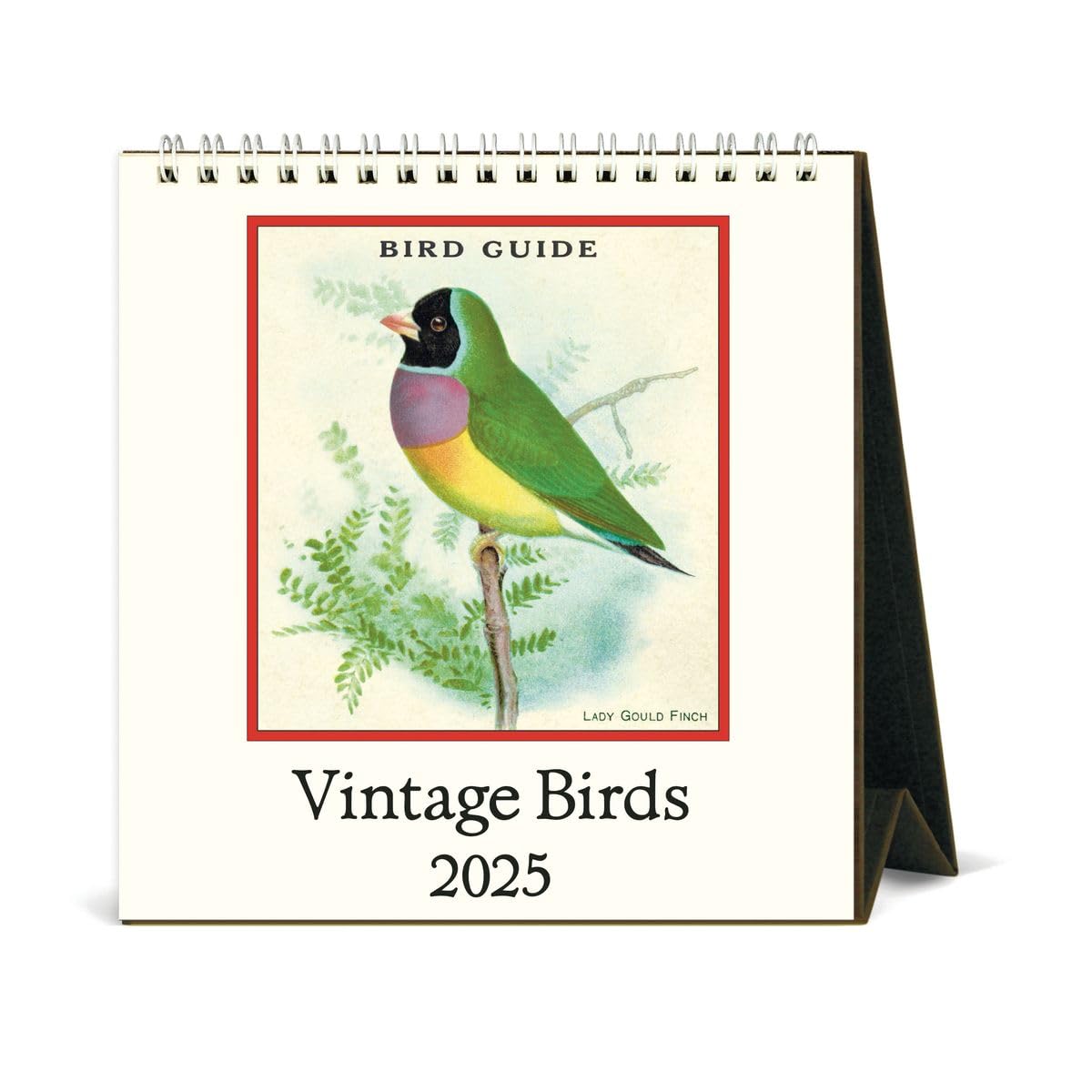 Amazon.com : Cavallini 2025 Vintage Birds Easel Desk