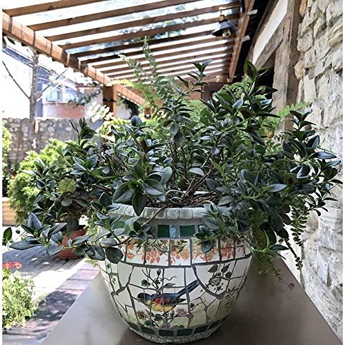 Jardinère oiseau en céramique pour fleurir un balcon ombragé ou une cour intérieure