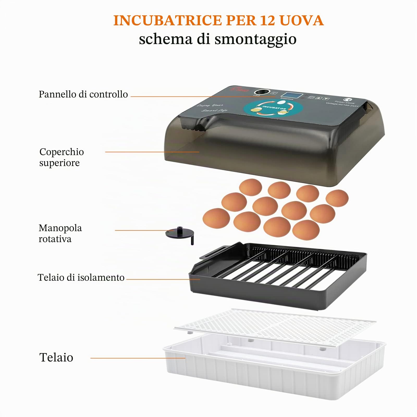 Incubatrice a 12 Uova con Inverter D'Uovo Automatico Integrato e Uova a Controllo Della Temperatura Rooter Di Pollame per Pollo di Quaglia Oca D'Anatra Piccione Uccello (Eu Plug)
