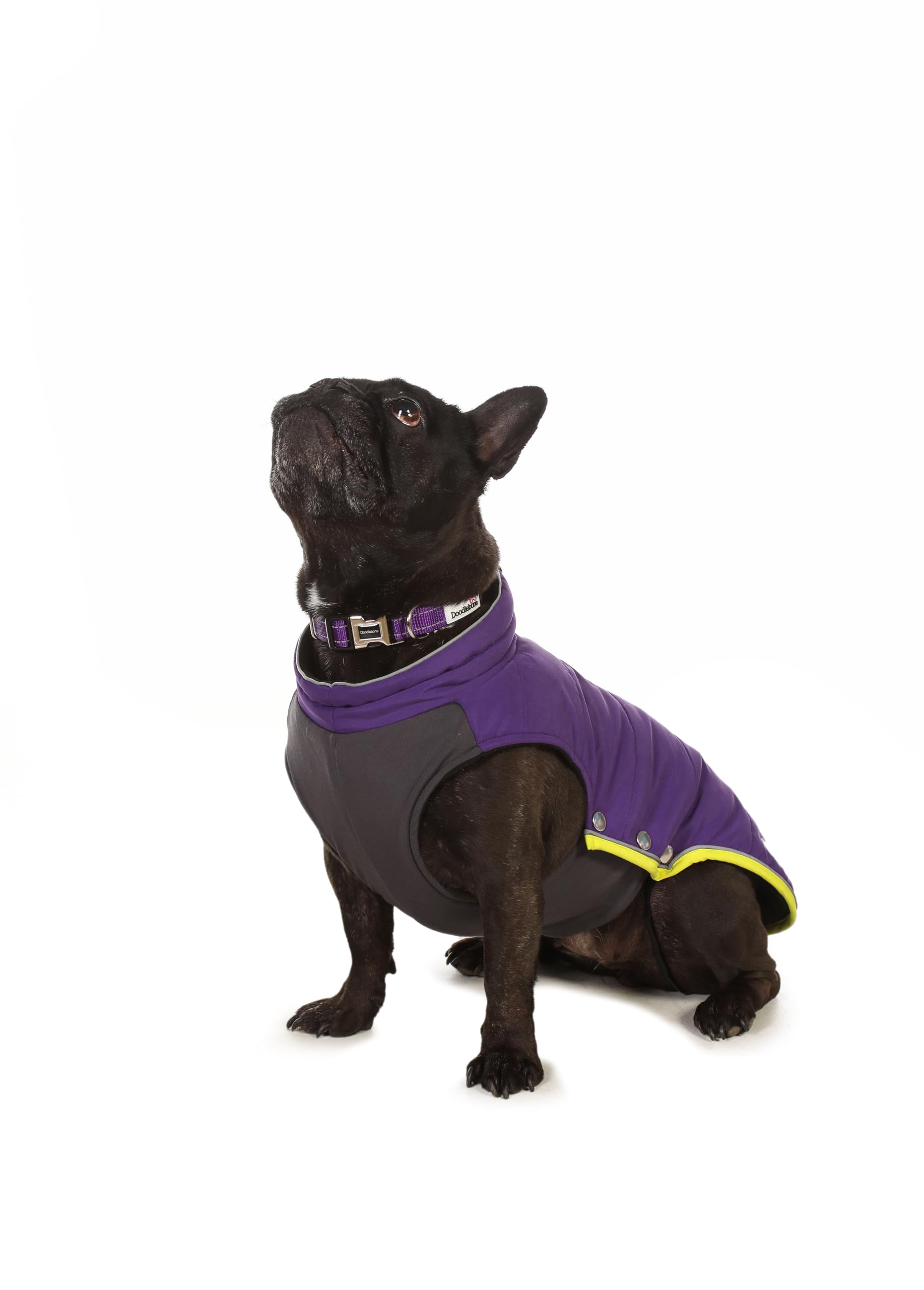 Doodlebone Dog Puffer Jacket (Violet, 1-2) - Image 2