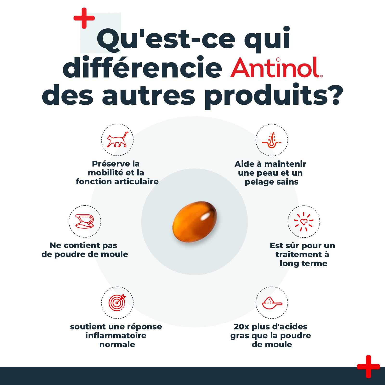 Antinol - Complément Naturel des Chats Adultes - cliniquement prouvé - soutient la mobilité des articulations et la santé de la Peau - avec des moules à lèvres Vertes, oméga 3 & VIT E - 90 Capsules