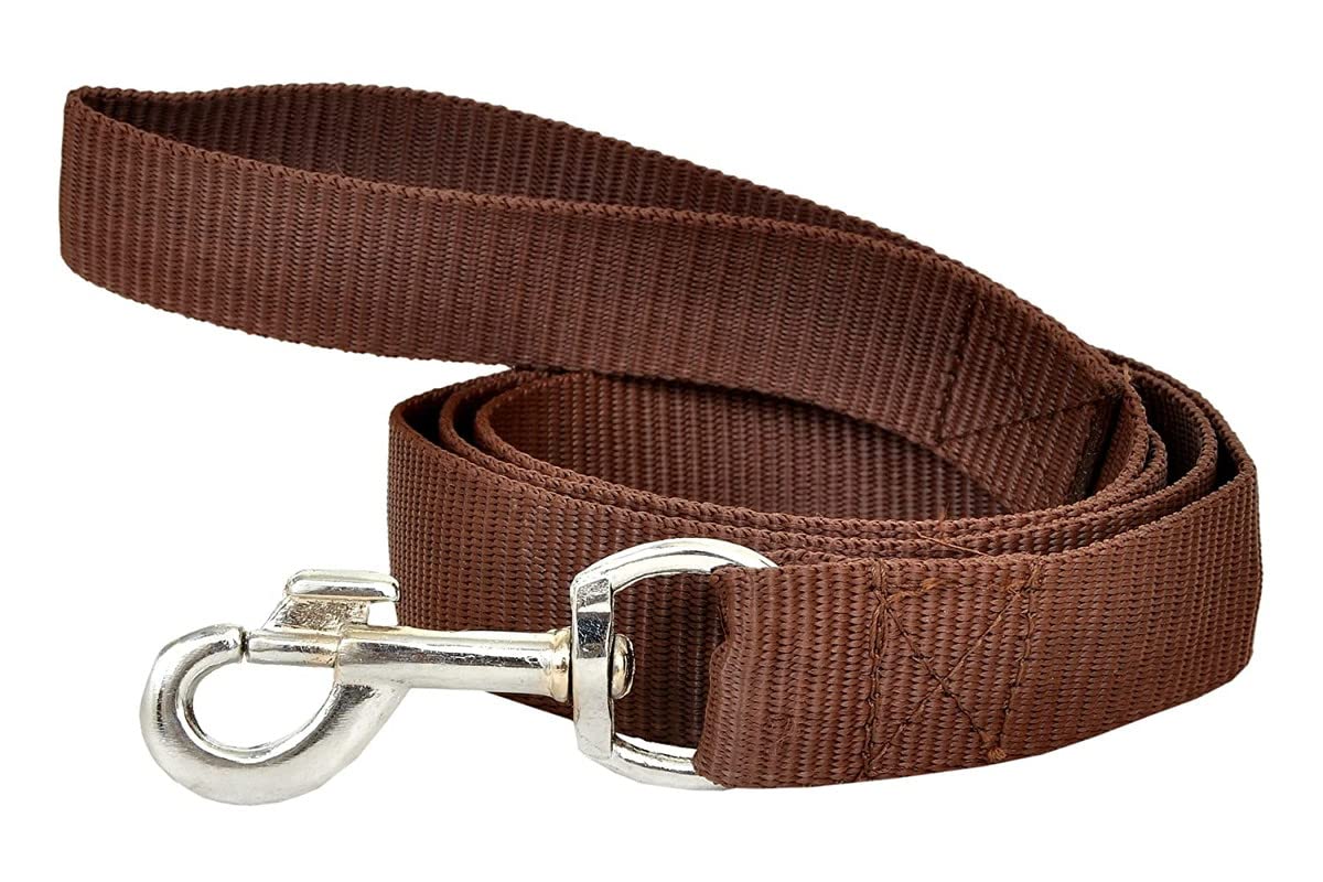 Pet Guard Dog Leash for Large Dogs Heavy Duty-Admiral-Strong Padded Handle Leash for Dogs LARGE110 (B09V354SW5) Amazon Price History, Amazon Price Tracker