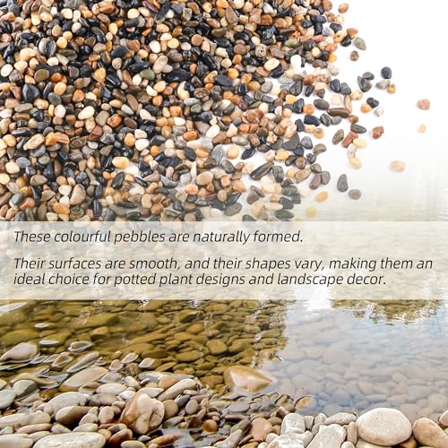 Image of CJGQ 18lb 1 /4 /'' Polished Pebbles for Plants Potting,Succulents Aquarium Fish Tank Vases-Decorative River Rocks Garden Gravel Stones