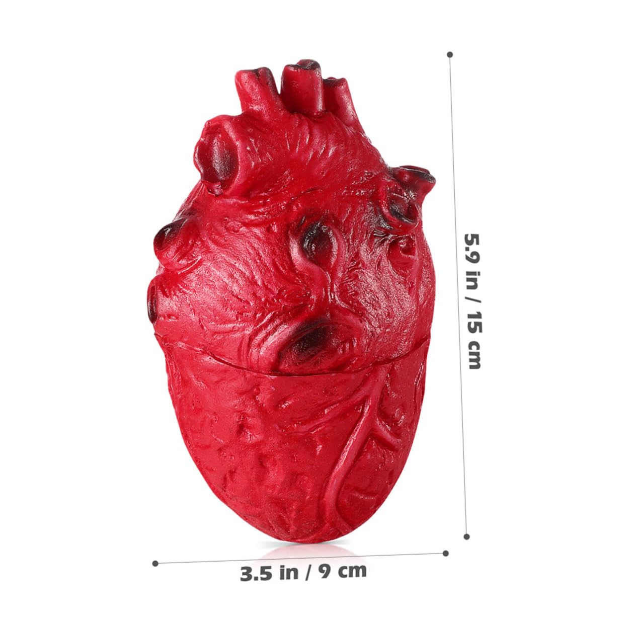 Abaodam 2Pcs Halloween Scary Fake Heart Props Lifelike Simulation Human Organ Decorations for Spooky Home and Pranks Vinyl Material for Parties - Image 2