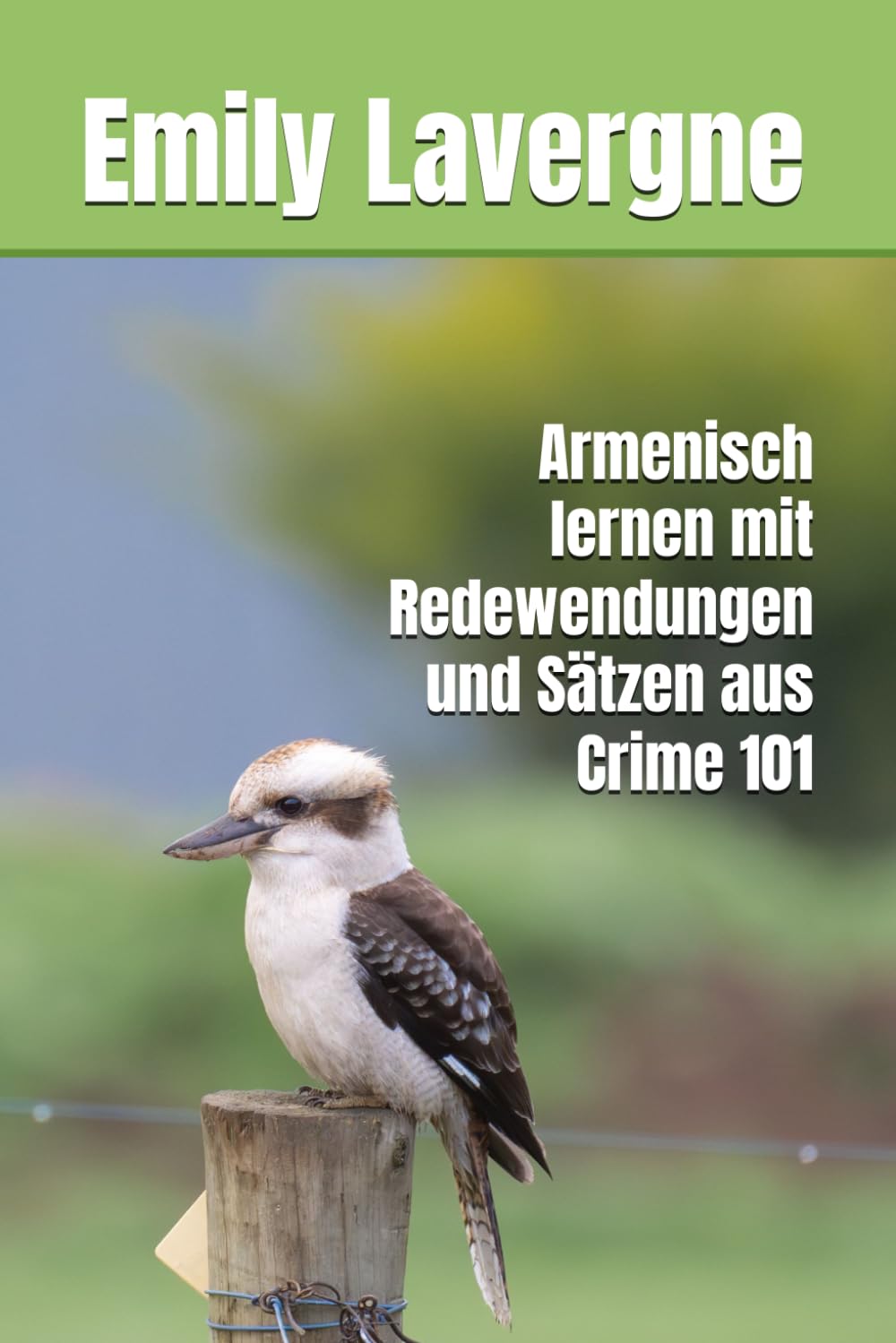Armenisch lernen mit Redewendungen und Sätzen aus Crime 101