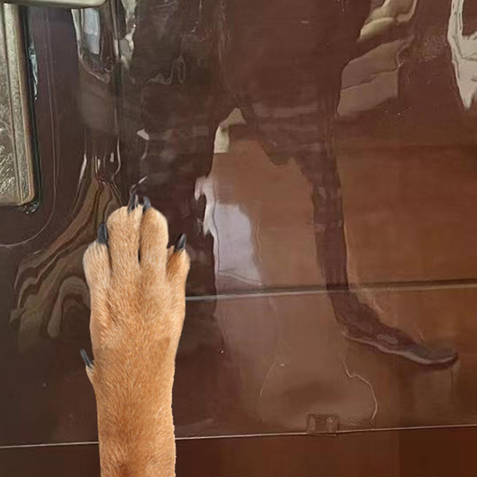 Panel Protector Resistente contra arañazos de Puerta, solución no Adhesiva para Muebles, arañazos agresivos de Mascotas, Duradero y Resistente. El