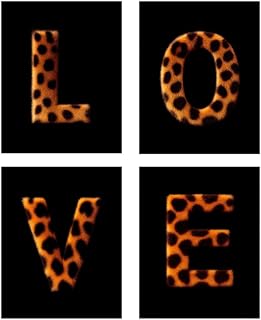 BWDDWB ​Leopard Print Wall Art 'LOVE' Sign, Furry Textured Canvas Posters Prints, Modern Black and Orange Home Decor for Living Room Bedroom Valentine's Day Gift​ 10" L x 8" W Set of 4 Unframed