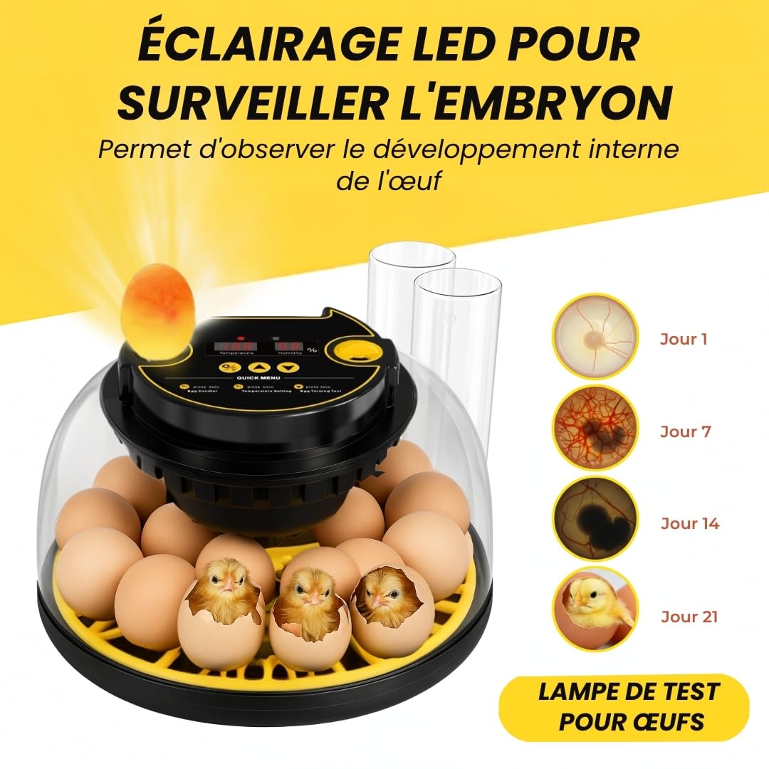 COUVEUSE ŒUFS AUTOMATIQUE pour tous types d’oiseaux | 12-16 œufs | contrôle température, humidité et retournement | calendrier, mangeoire, abreuvoir, guide | sans batterie, secteur 35W