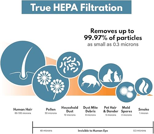Miniatura 5 de Repuesto para filtro GermGuardian C (FLT5250FLT5250PT), para purificadores de aire serie AC5000