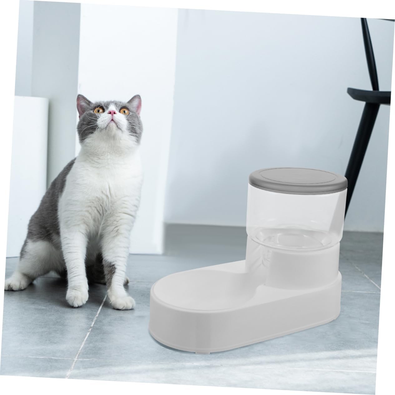 BESPORTBLE 2pcs Auto Waterer and Feeder for Cats Dogs Gravity Feed Feeder Bowl Dispenser No Spill Pet Bowl