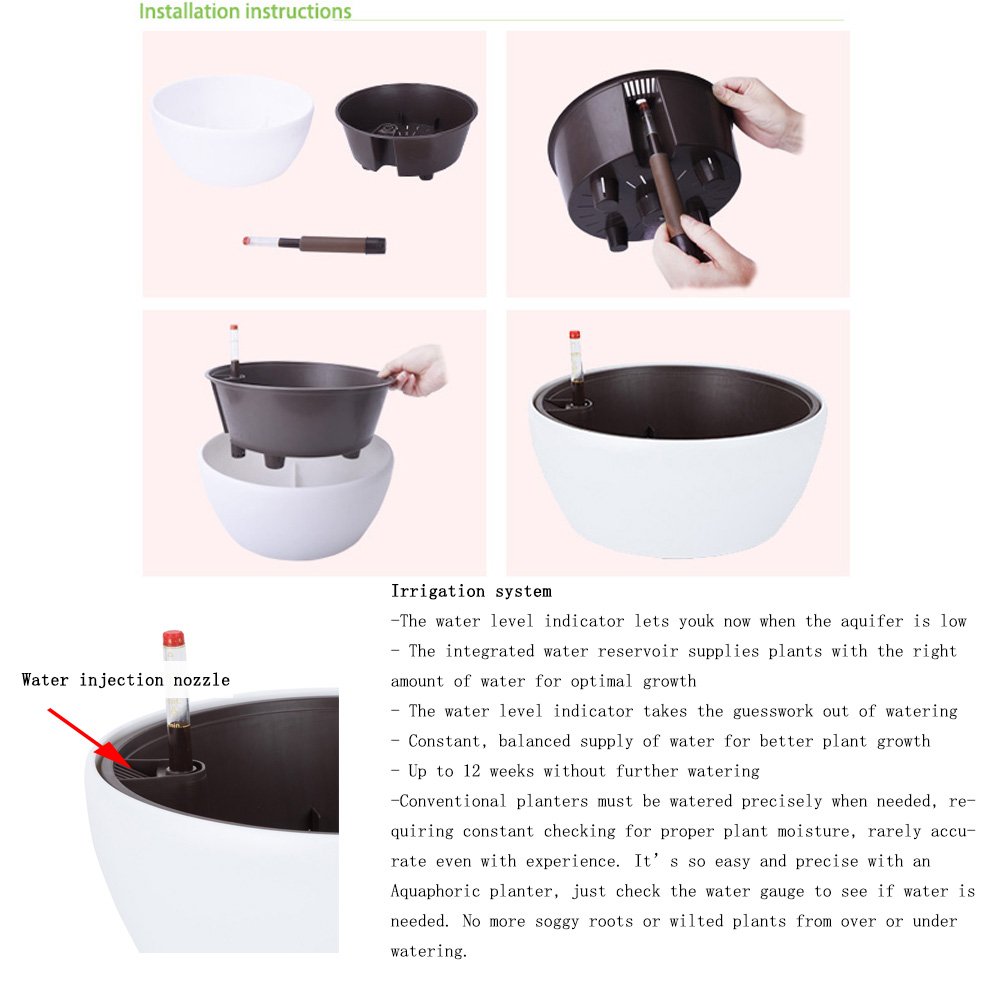 https://m.media-amazon.com/images/I/61D+6yMHtJL.jpg