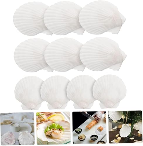 Miniatura 6 de Hemoton 10 platos de cuchara de sopa para manualidades, platos de comida de concha, cuencos de salsa, platos de conchas para fiestas, bandejas de