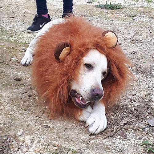 Lion Mane Costume For Dogs, Lion Dog Costume Adjustable Lion Wig With Ears, Easy To Fit Medium/Large Dogs For Halloween Party Decorations, Large Dog Halloween Costume For Pet As Lion King (Brown) #TOP2
