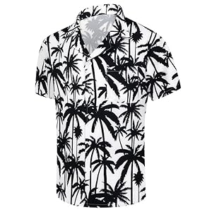 Men’s Short Sleeve Hawaiian Shirt Quick Dry Loose Fit, Floral Print Tropical Cruise Beach Button Down Graffiti Aloha