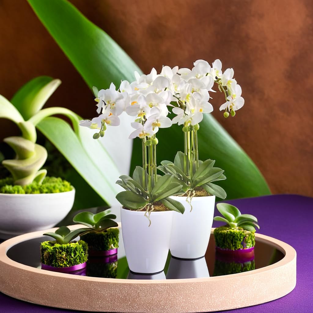 Santino 4er-Set Orchideentopf D 15cm Selbstbewässernder Topf mit Dochtsystem und Wasserstandsanzeige für den Innenbereich - White - 2L