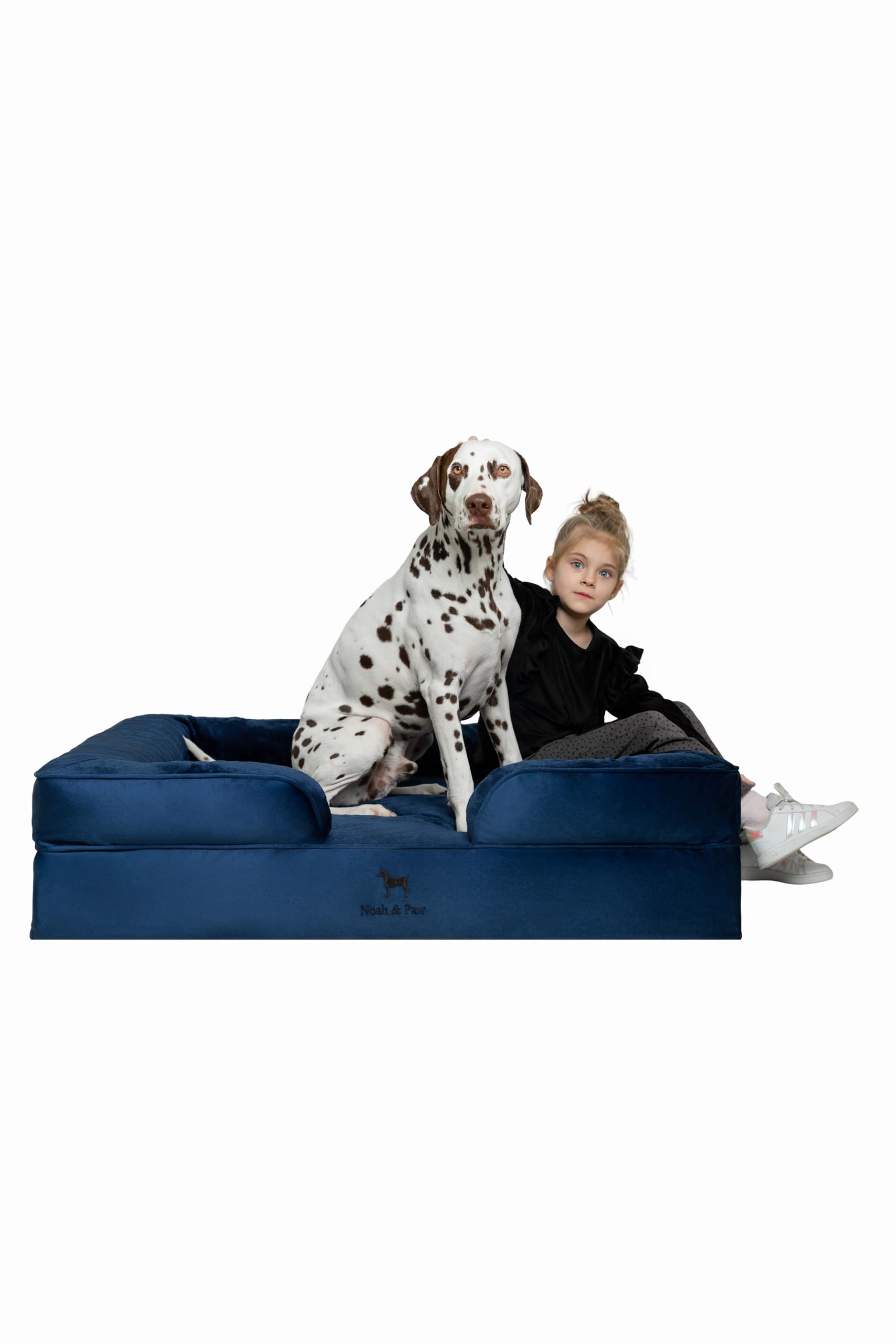 NOAH and PAW XL Orthopedic Dog Bed