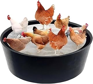 Bain de poussière pour poules, accessoires de poulailler, récipient réglable sans de 64 cm pour poules et volailles