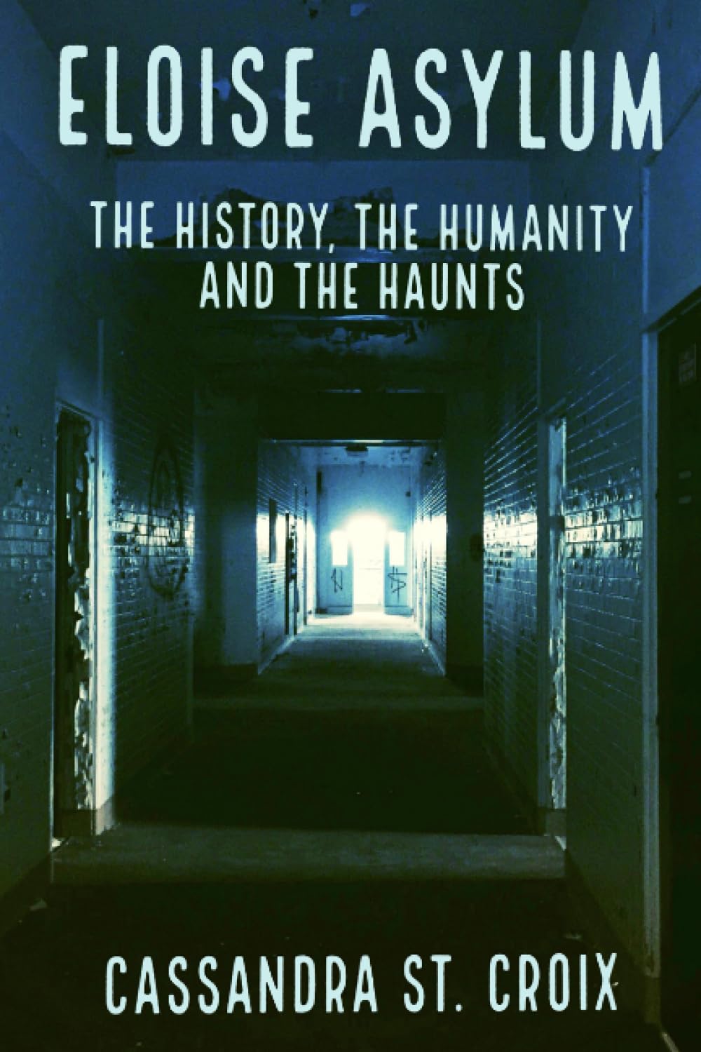 Eloise Asylum: The History, the Humanity and the Haunts Paperback – September 23, 2021