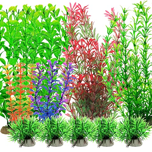 10 Best Tropical Fish Tank Plants June 2023