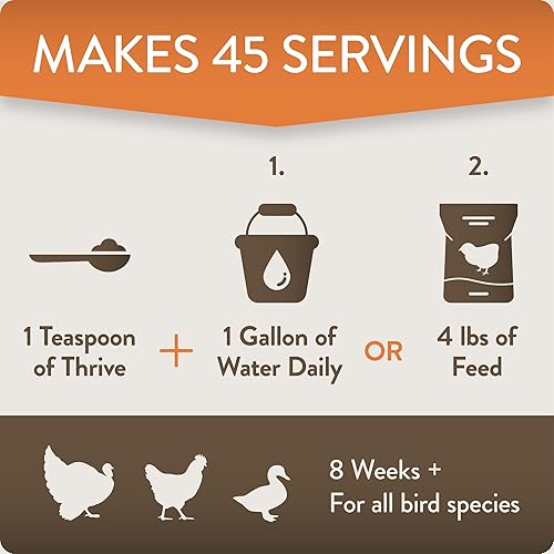 Vista 5 de Thrive, Daily Probiotic & Prebiotic Poultry Supplement for Chickens 8+ Weeks Old, 8 oz FlockLeader Arrive