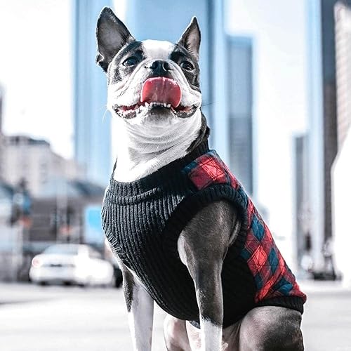 Miniatura 5 de Gooby  Chaleco de moda, pequeño suéter para perro, chaqueta cazadora con pechera elástica, Verde (Green Check)