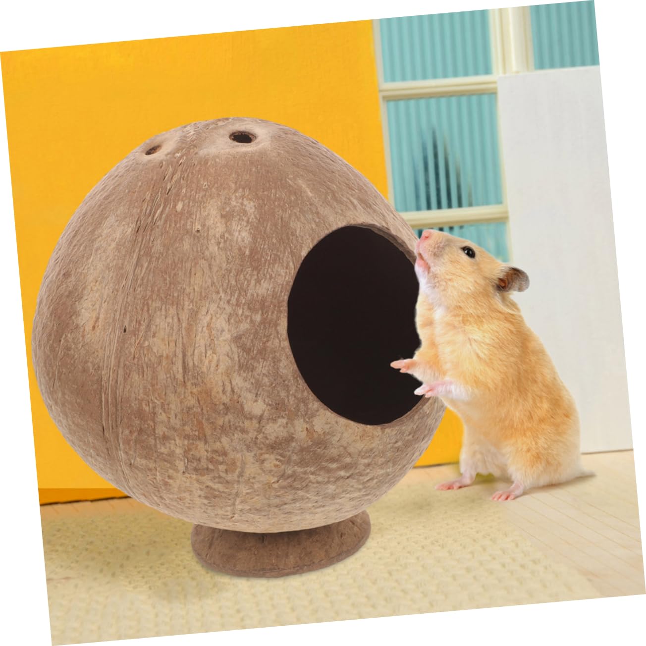 PRETYZOOM 4 Pièces Jouet Nid De Hamster Cachette De Hamsters Un Hamster Frappe Une Maison Cachette De Rat à La Maison Accessoires De Jouets De Cachette De Cobaye Coquille De