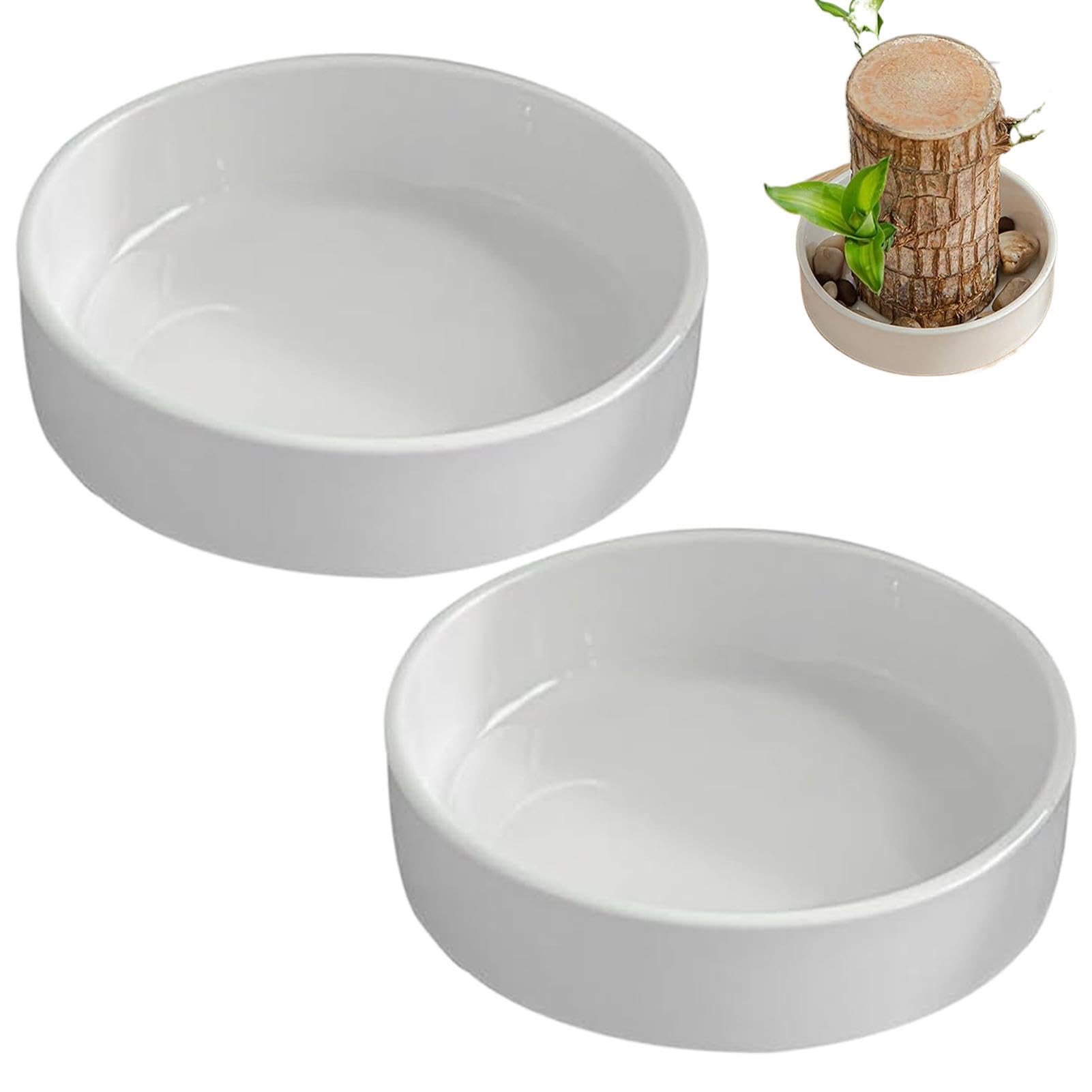 Vaso per piante in legno brasiliano, piatto in ceramica brasiliana, 2