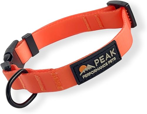 Collar impermeable para perro Overlook