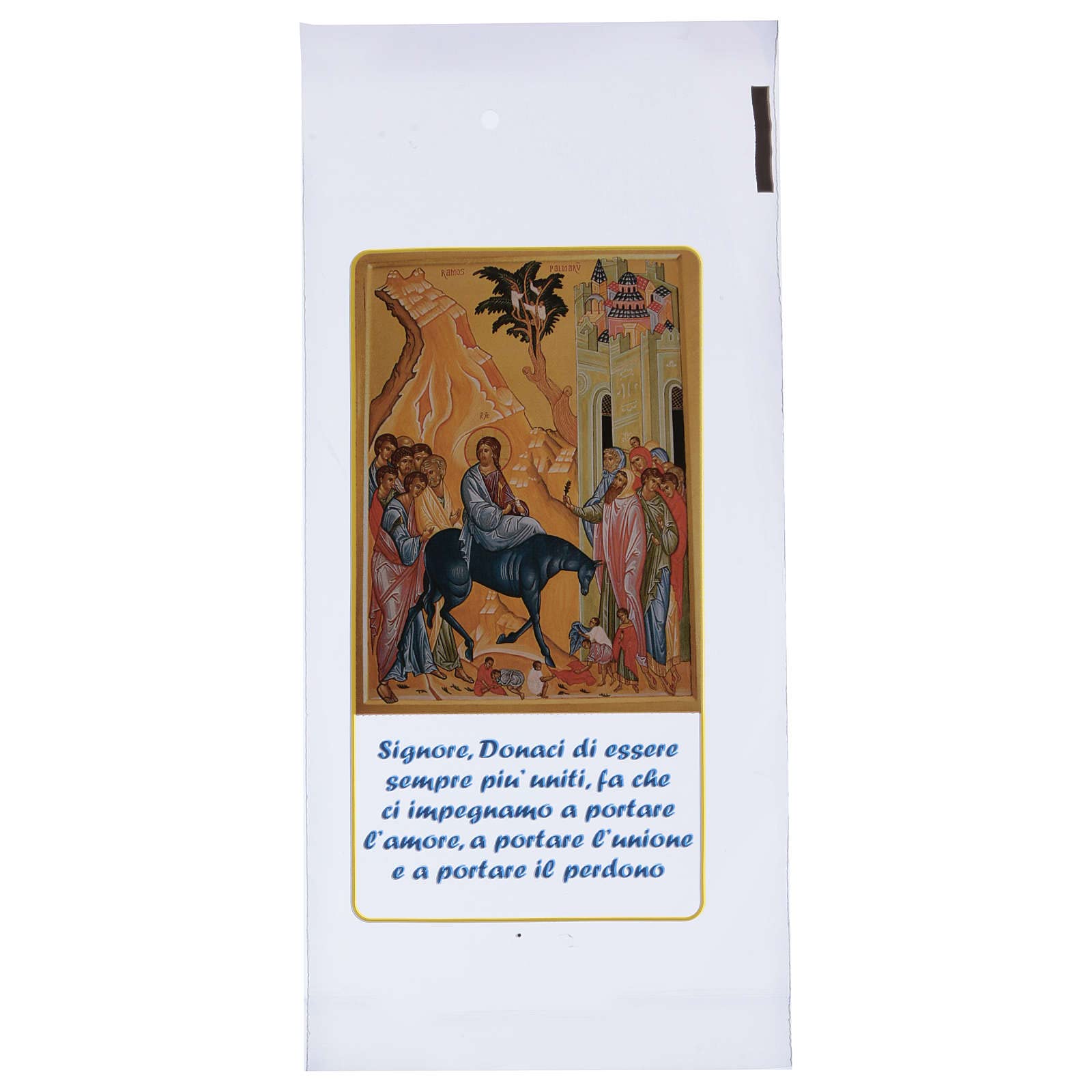 Holyart Accessori per Benedizione: Buste per Le Palme Ingresso Gerusalemme 200 pz