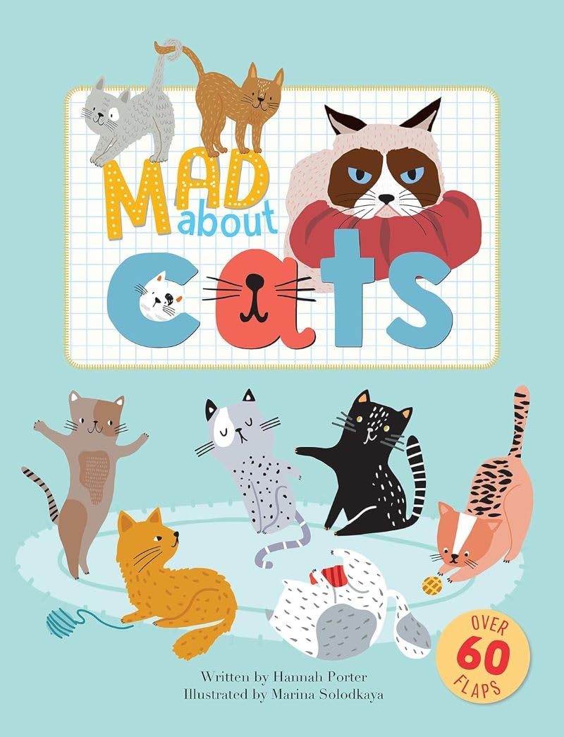 MAD ABOUT CATS by Hannah Porter NOVELTY BOOK 9781912944545