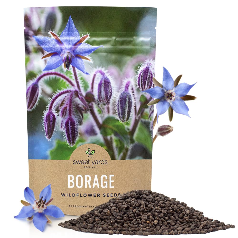 SWEET YARDS Borage Seeds