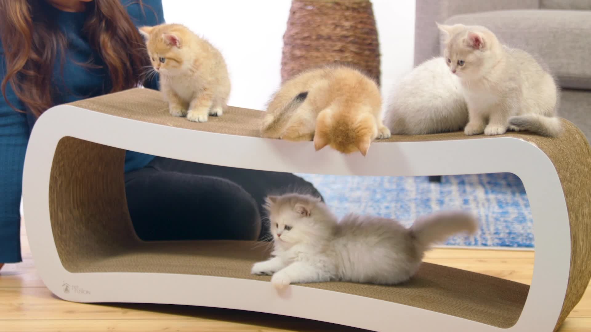 Cat Scratch Post Large Cat Scratcher PetFusion Jumbo Cat Scratcher