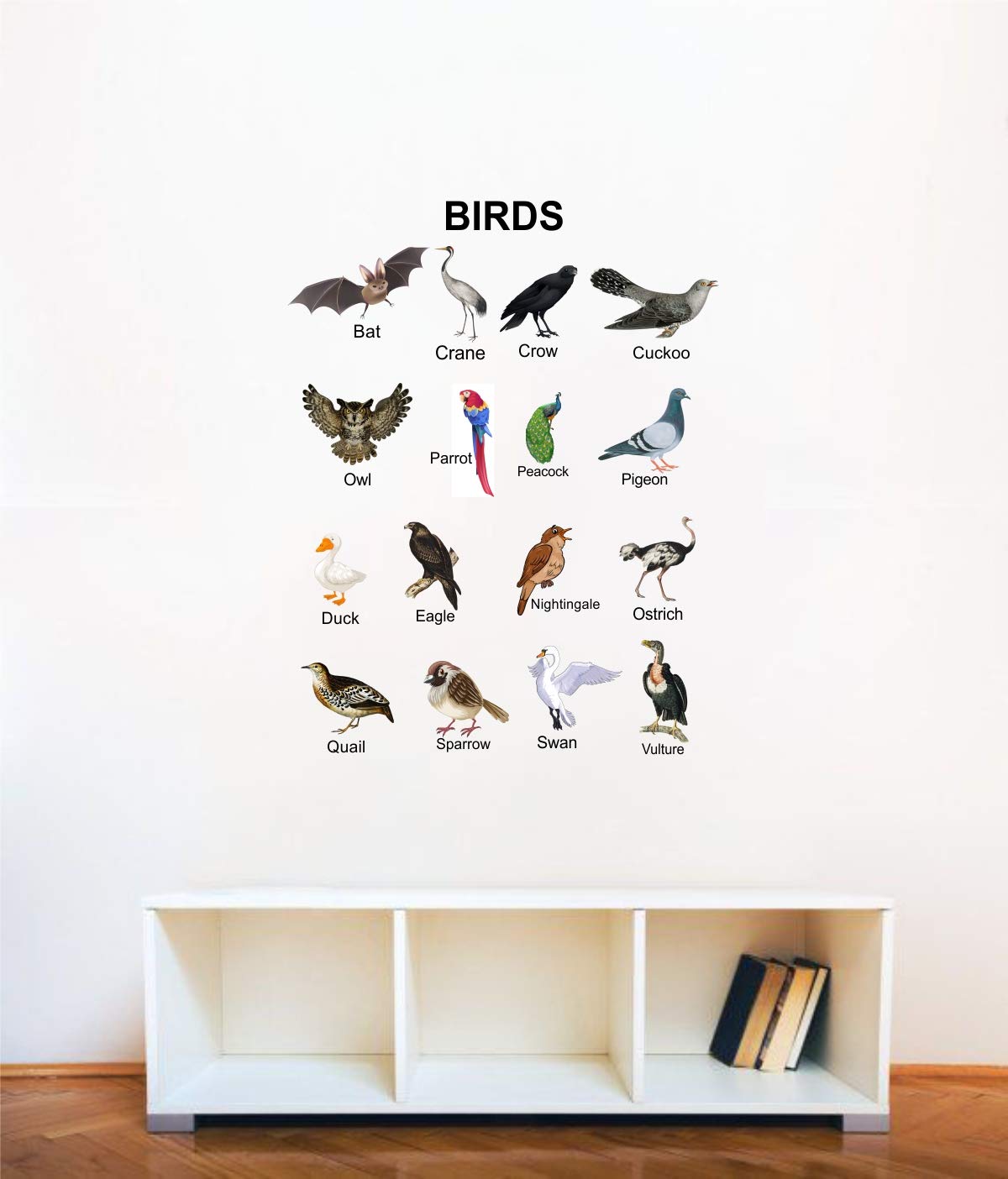 Decal O Decal ' Birds with Names for Kids Learning ' Kids Nursery Wall Stickers