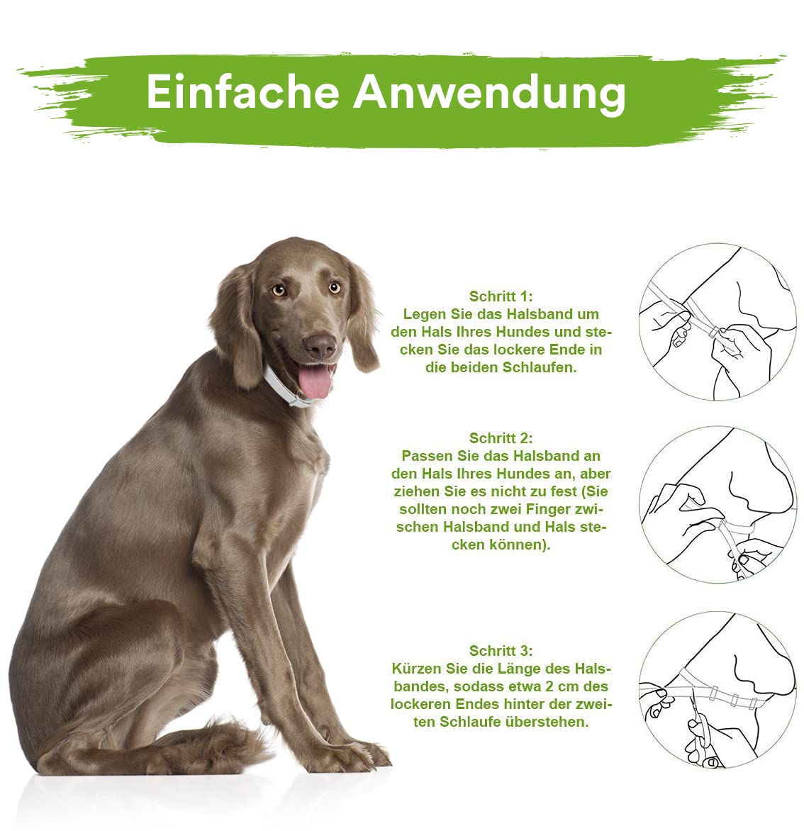 MC-Royal® Premium Zeckenhalsband für Hunde - Effektiver Schutz vor Ungeziefern - wasserdicht und verstellbar - bis zu 8 Monate Zeckenschutz mit 100% natürlichen Inhaltsstoffen