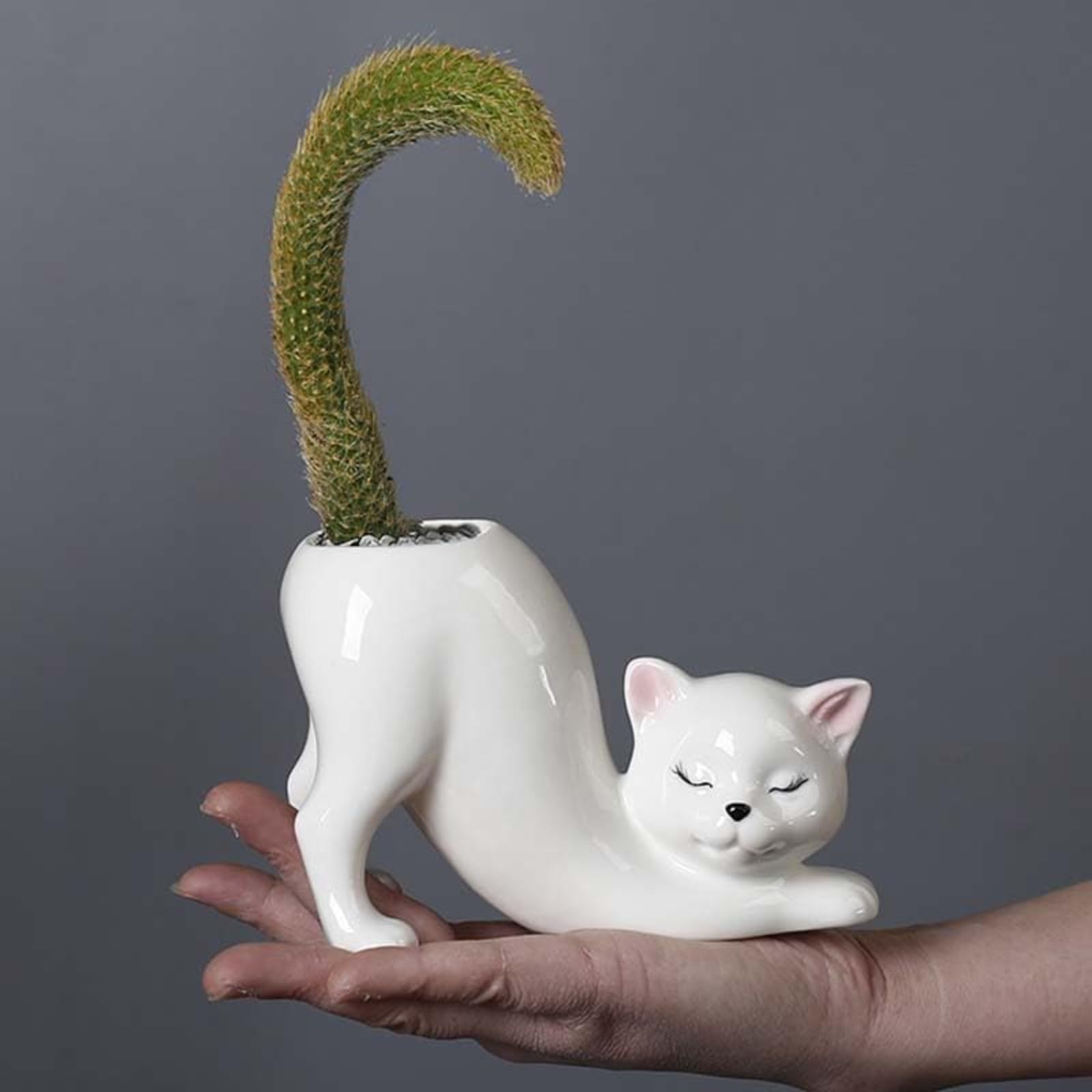 Unique Tailless Cat Small Flower Pot, Novel Ceramic Bonsai Pot, Ideal Gift for Succulents, Flowers and Cacti