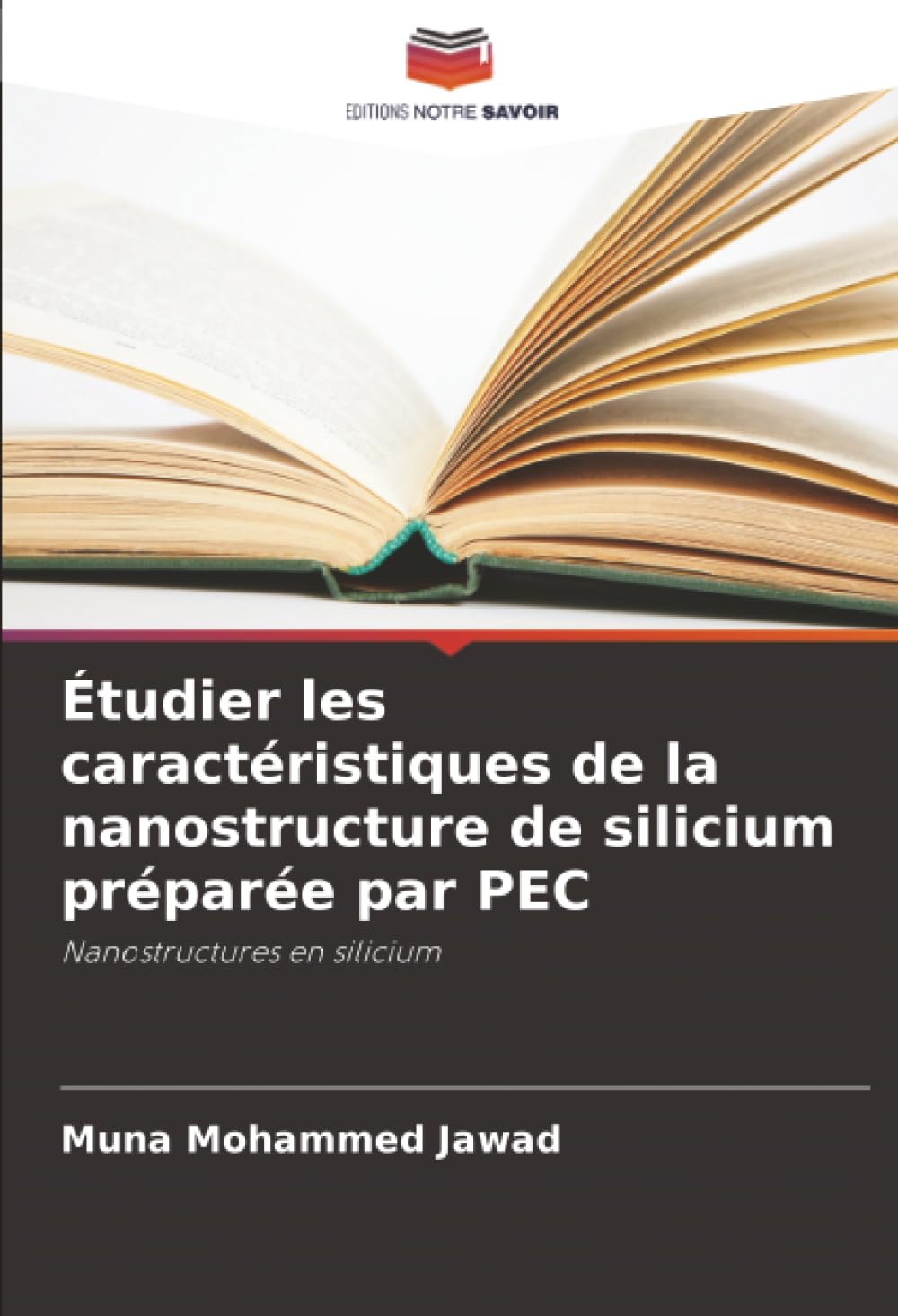 Étudier les caractéristiques de la nanostructure de silicium préparée par PEC: Nanostructures en silicium