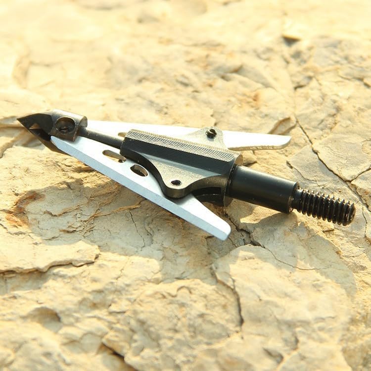 10pcs Archery 2 Extensible Blade Broadhead Arrow Head Tips Points Archery Recurve Compound Crossbow Hunting Accessory