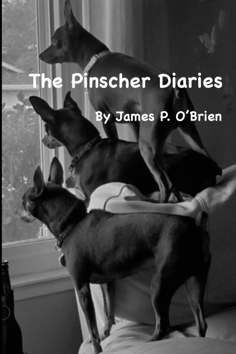 The Pinscher Diaries