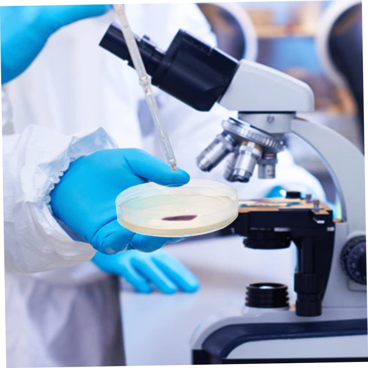 20 Pièces Boîtes De Pétri Pré-Coulées Avec Agar Pour Expérimentation Scientifique Stem 2.76X2.76X0.79In Plaques De Gélose Nutritive Pour École Et Laboratoire